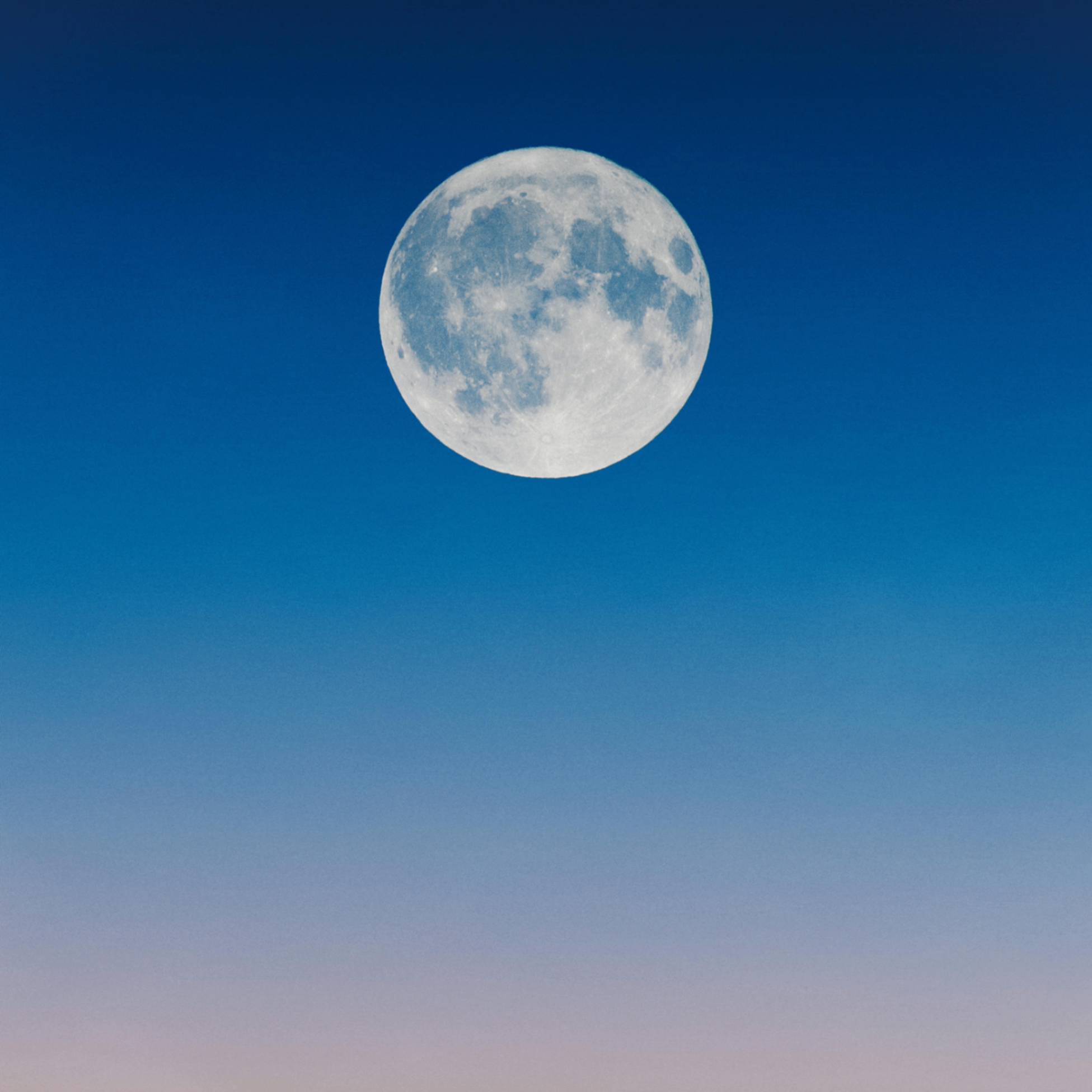 Lewan (lewan.lens) Lens social identity (.lens handle) PFP