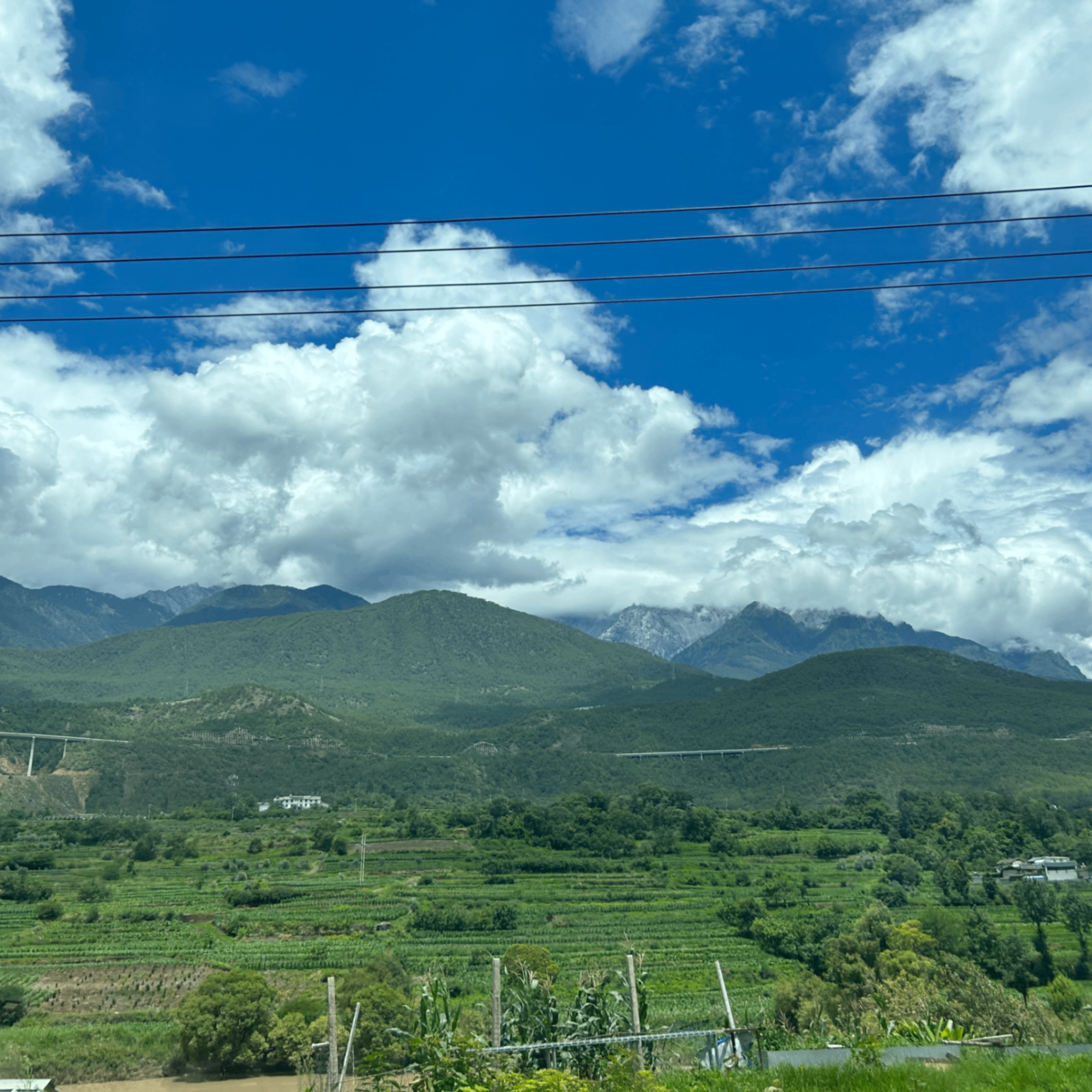 e25 (eth025.lens) Lens social identity (.lens handle) PFP