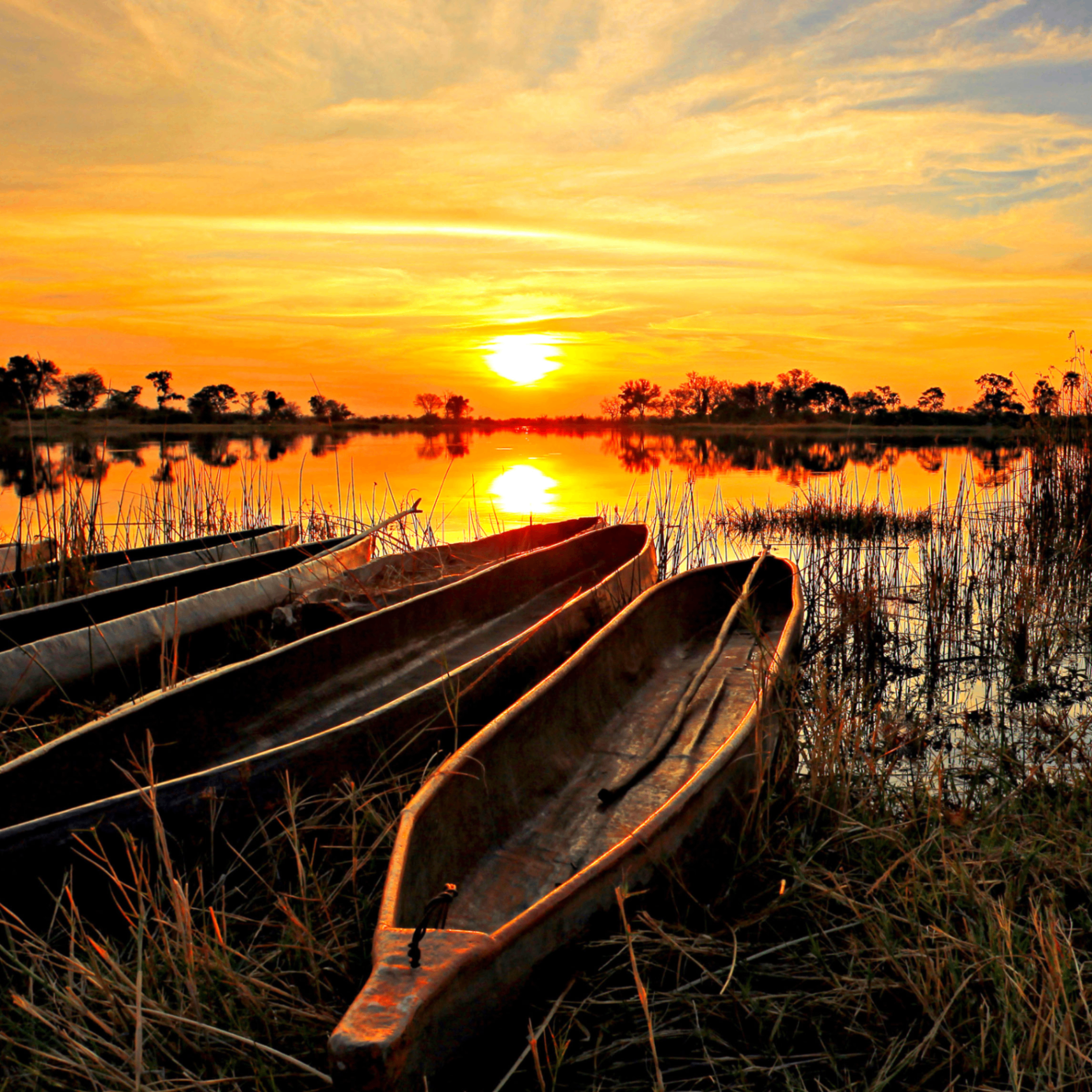 riyad (riyadbadluck.lens) Lens social identity (.lens handle) PFP