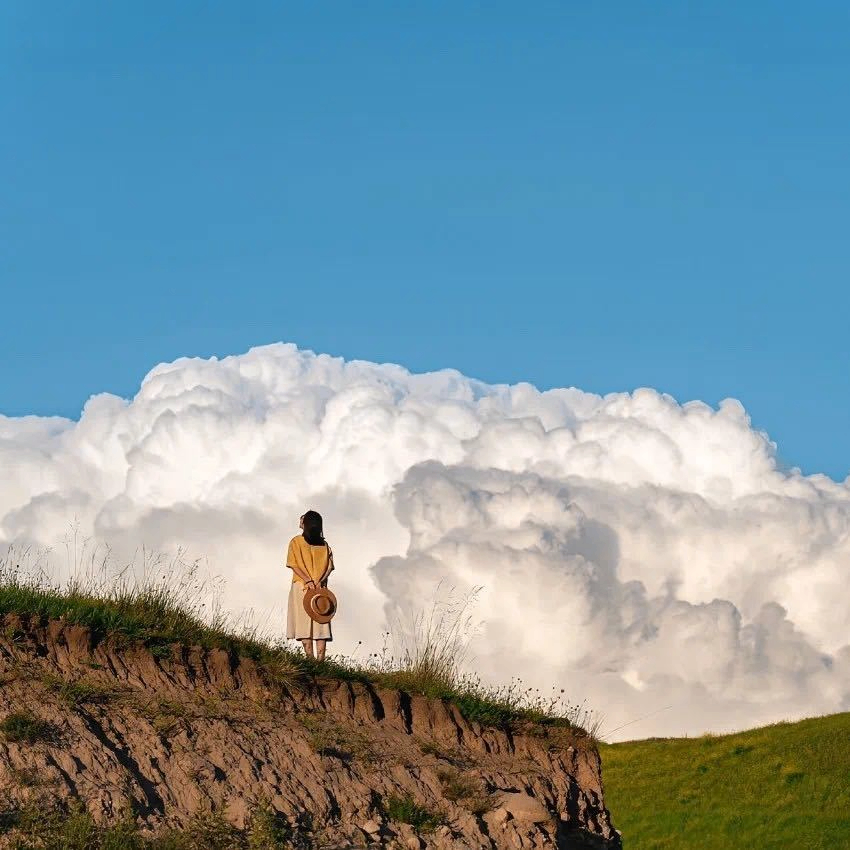 nefertaris (nefertaris.lens) Lens social identity (.lens handle) PFP