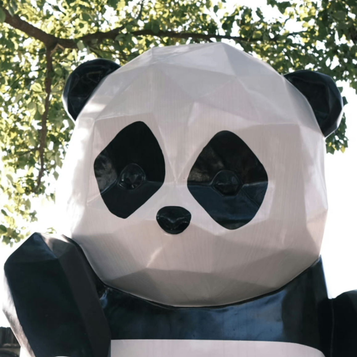 Lucky (pandaaa.lens) Lens social identity (.lens handle) PFP