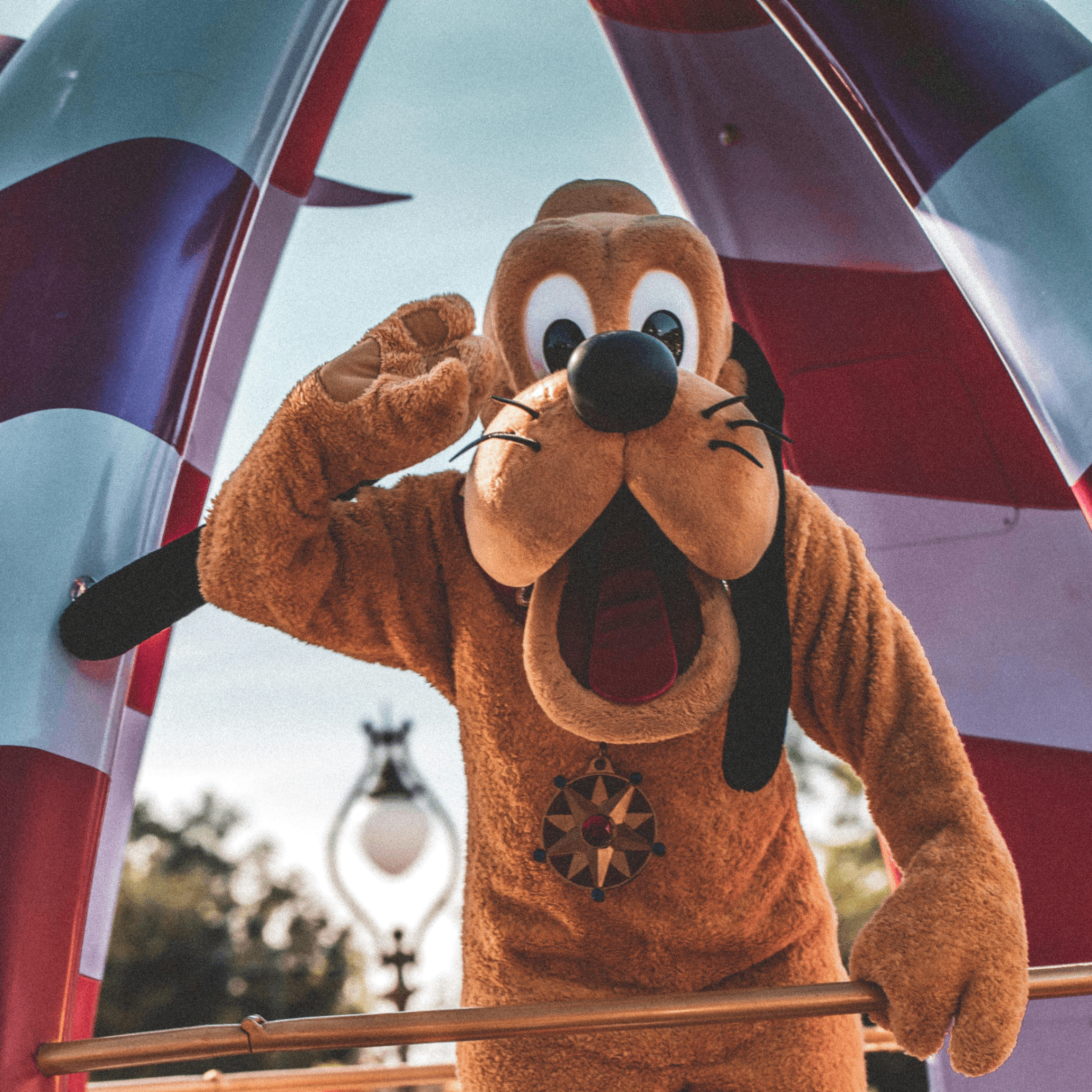 sniva (sniva.lens) Lens social identity (.lens handle) PFP