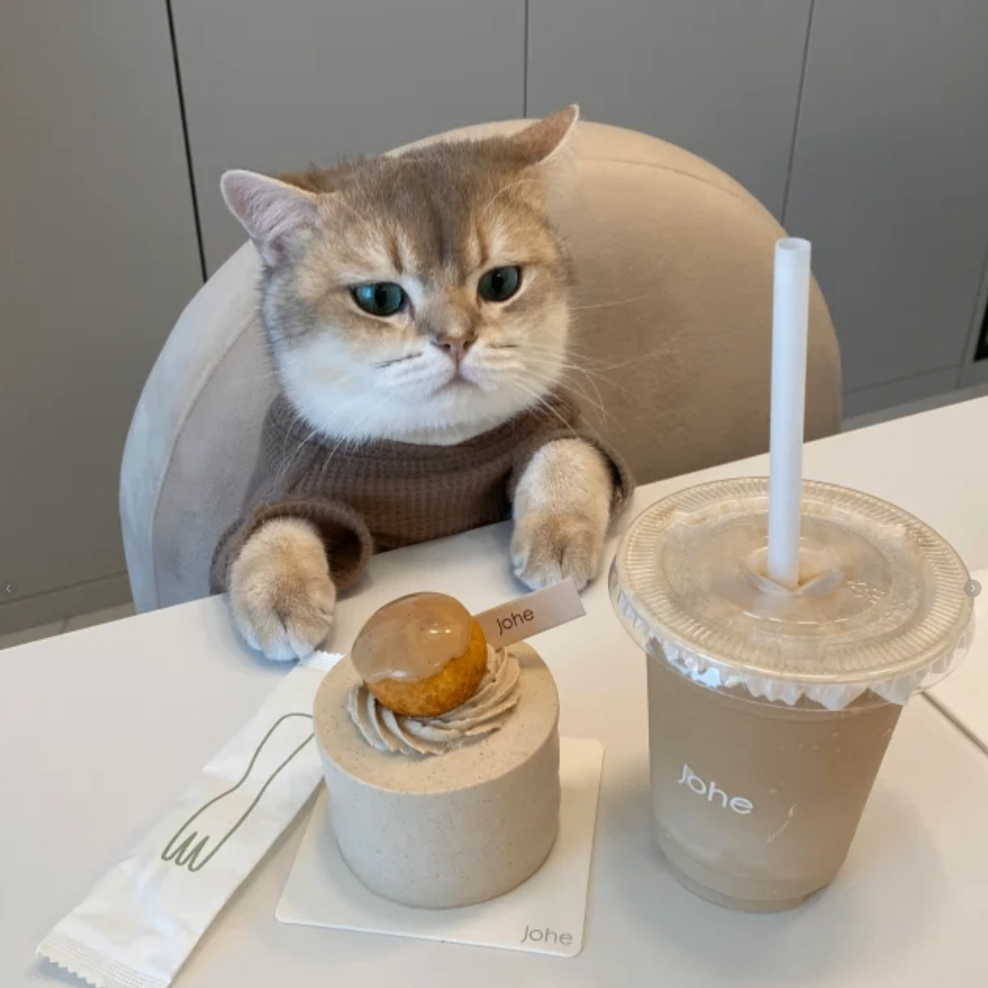 jojo (ahog705.lens) Lens social identity (.lens handle) PFP