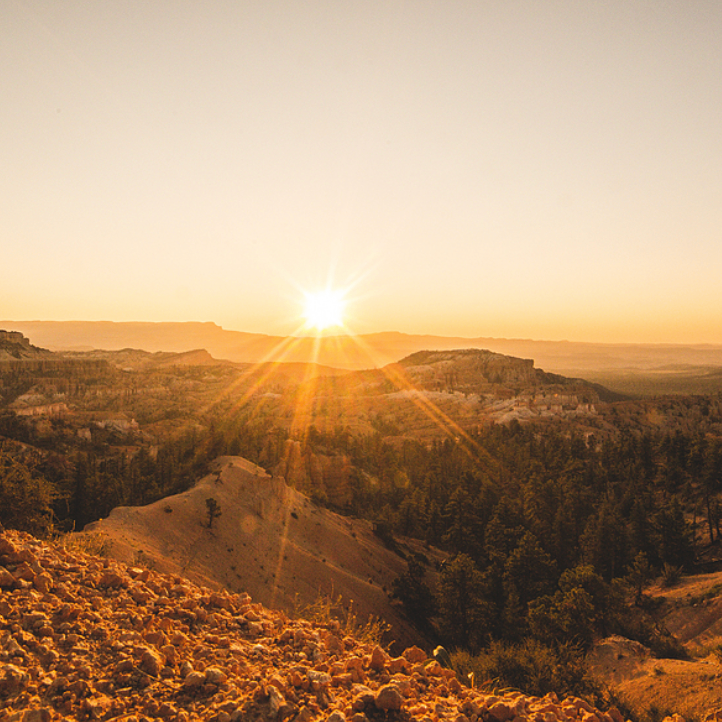 ijihji (epppp.lens) Lens social identity (.lens handle) PFP