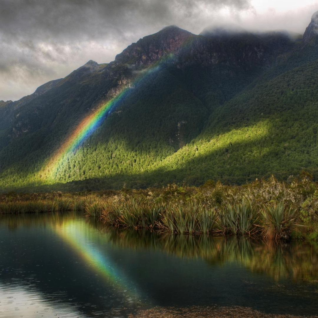 vxzf (wixen.lens) Lens social identity (.lens handle) PFP