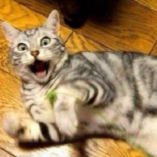 averyty (averyty.lens) Lens social identity (.lens handle) PFP