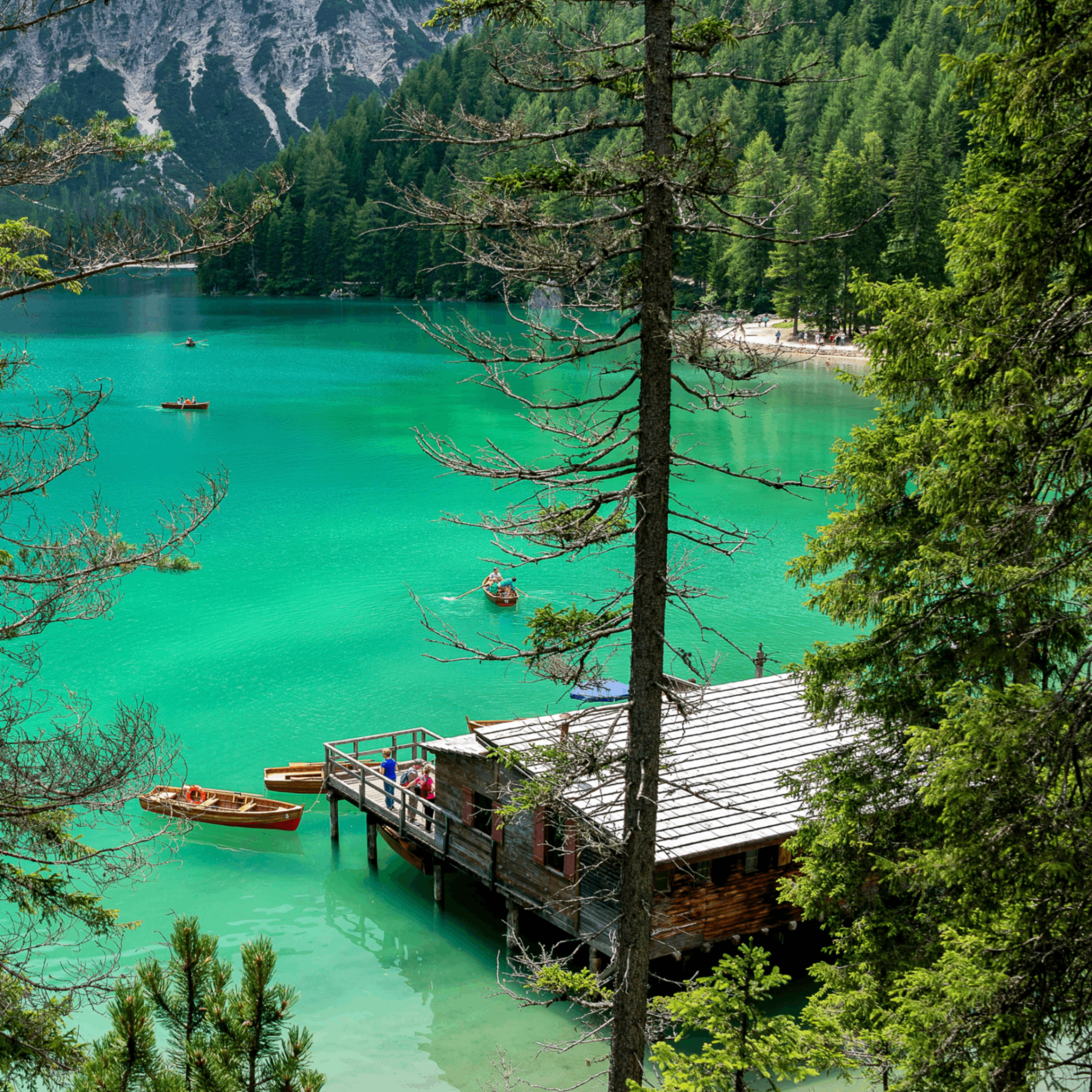 Dutan (dutan.lens) Lens social identity (.lens handle) PFP