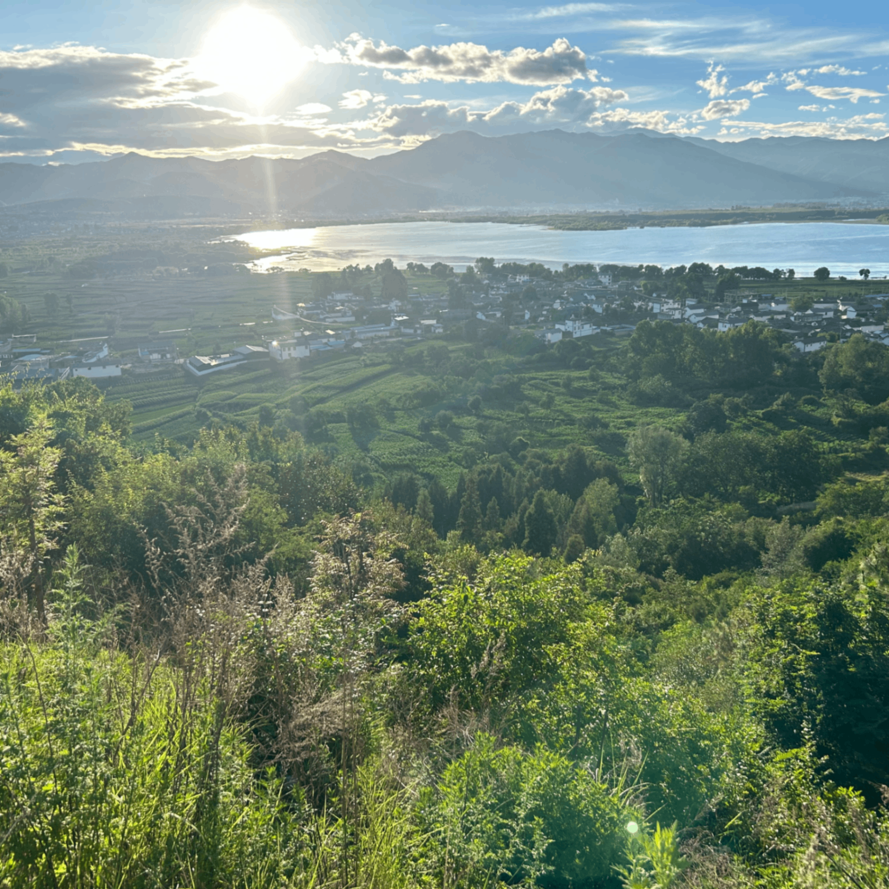 e14 (eth014.lens) Lens social identity (.lens handle) PFP