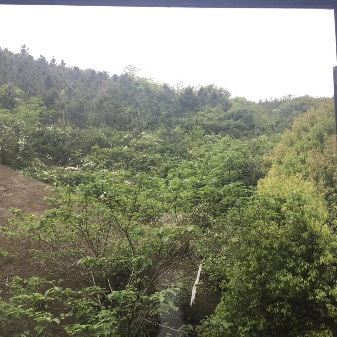 jinyu (ax5055.lens) Lens social identity (.lens handle) PFP