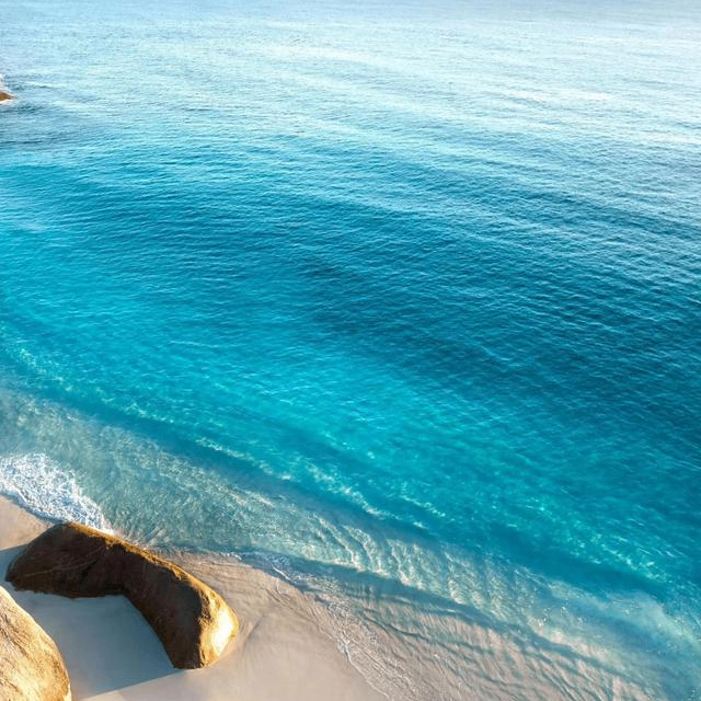 njiqha (zsgas.lens) Lens social identity (.lens handle) PFP