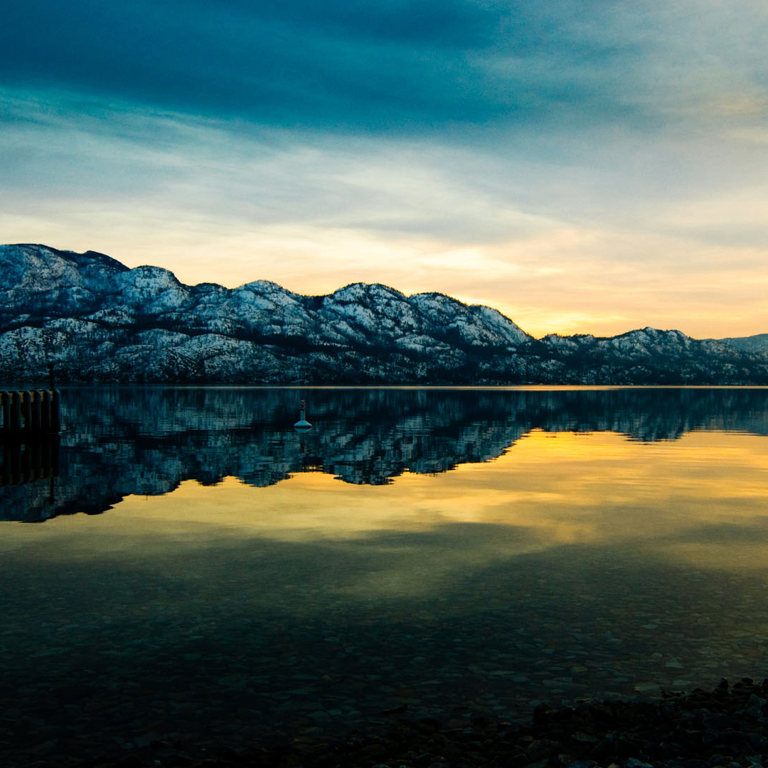 cfs (synix.lens) Lens social identity (.lens handle) PFP