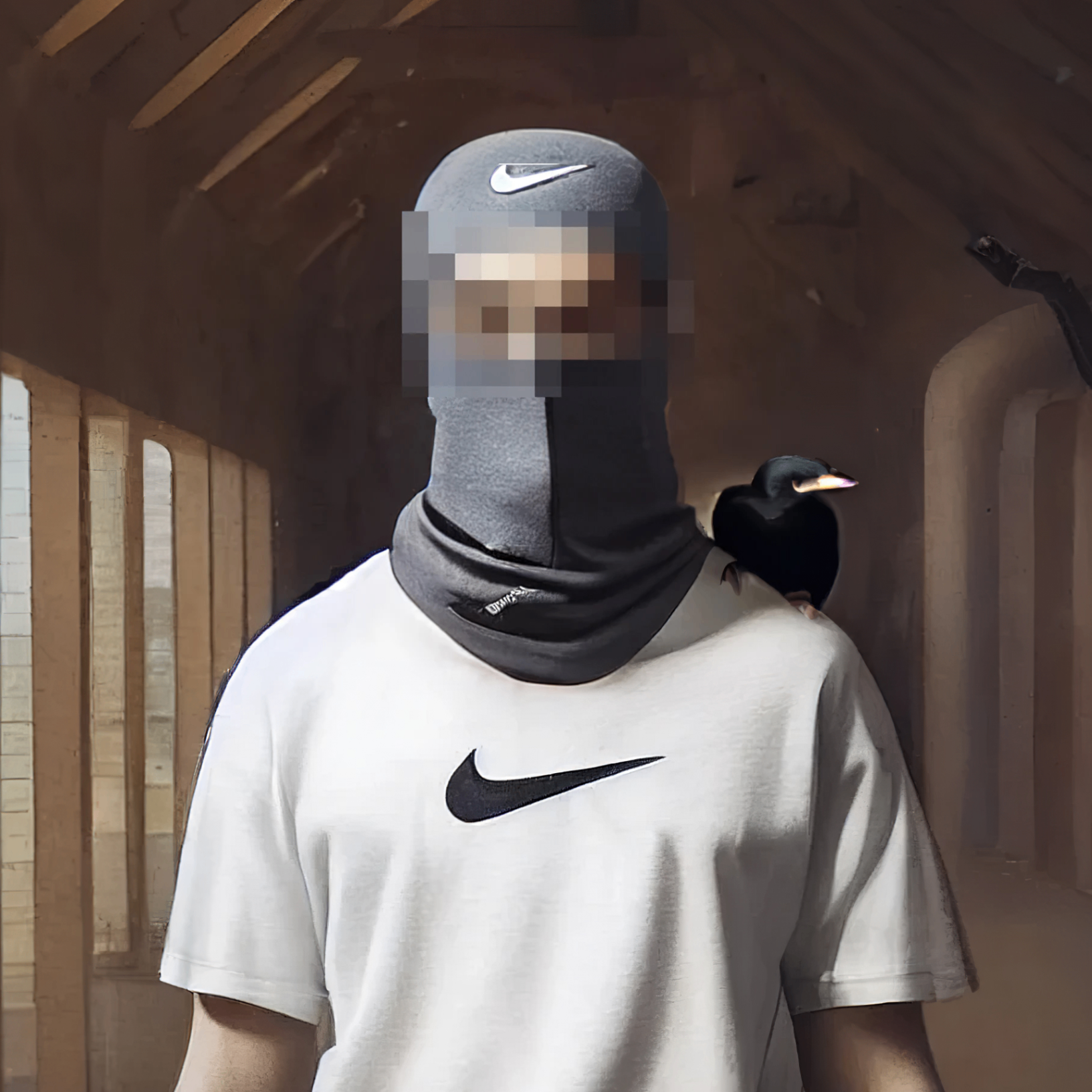 seizerspalace.eth Ethereum Name Service (ENS and .eth domain) PFP