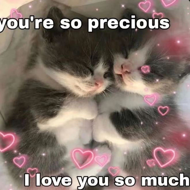 sorto hartline (aadafsaf.lens) Lens social identity (.lens handle) PFP