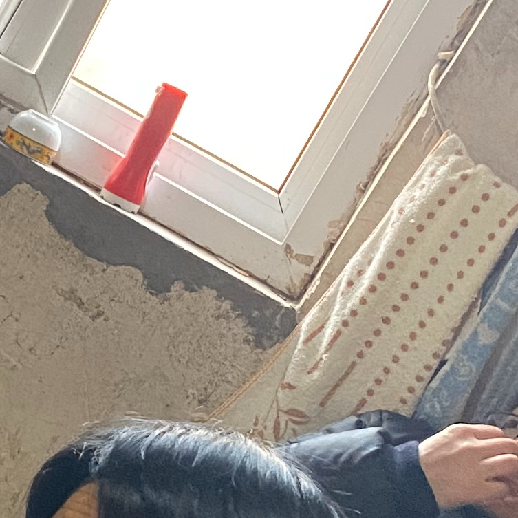 Honk! 🫡 (zzppplllaammmndgdhj.lens) Lens social identity (.lens handle) PFP