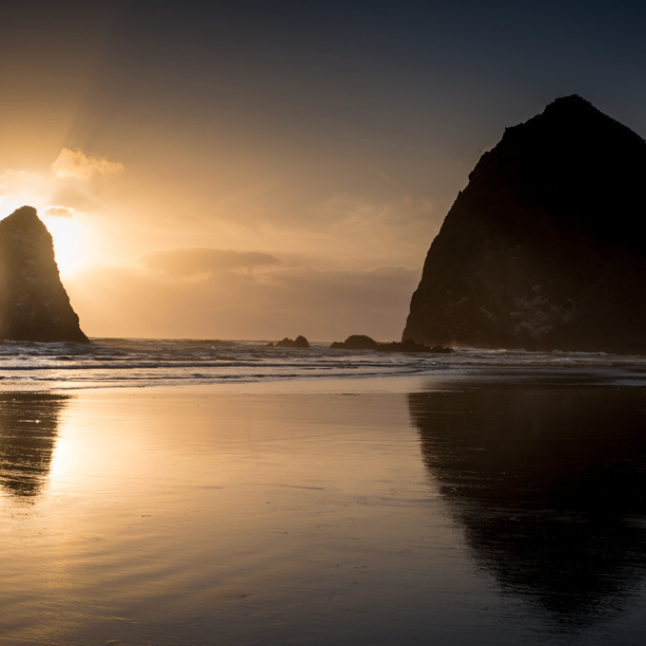 sdxfc (essss.lens) Lens social identity (.lens handle) PFP