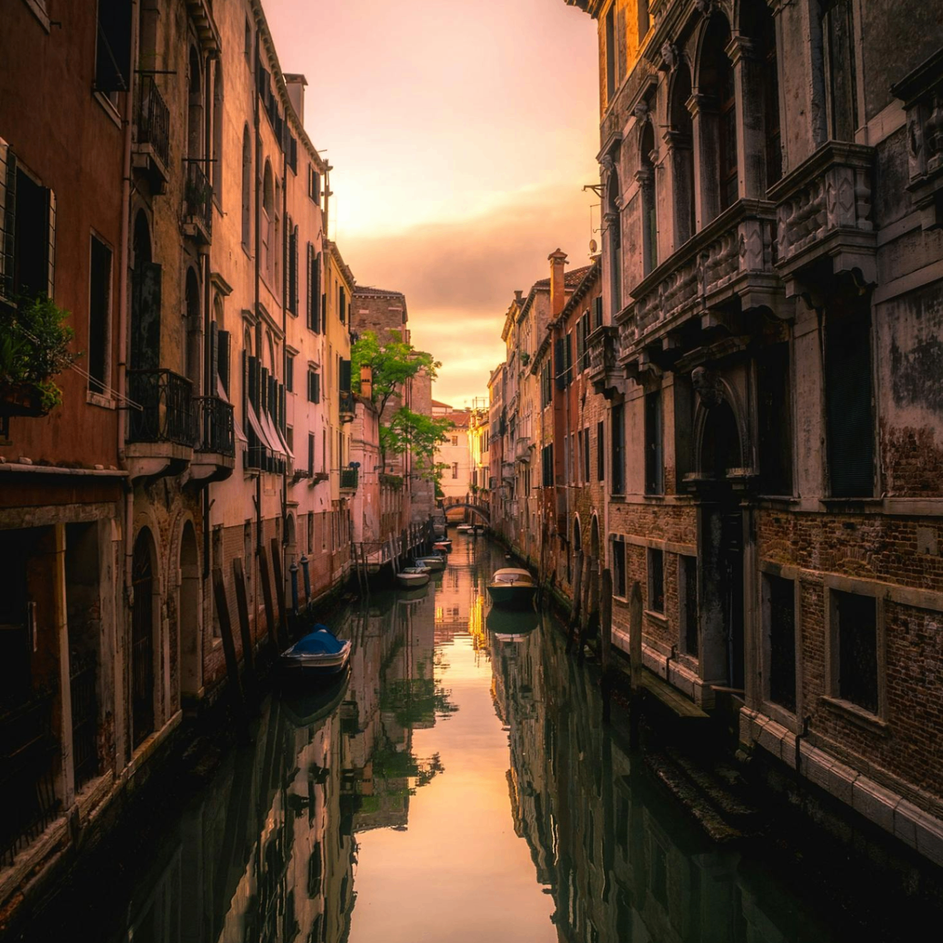 Tedsarvetnaxvias (tedsarvetnaxvias.lens) Lens social identity (.lens handle) PFP