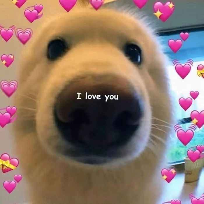 lorena sameer (gawdwadaw.lens) Lens social identity (.lens handle) PFP