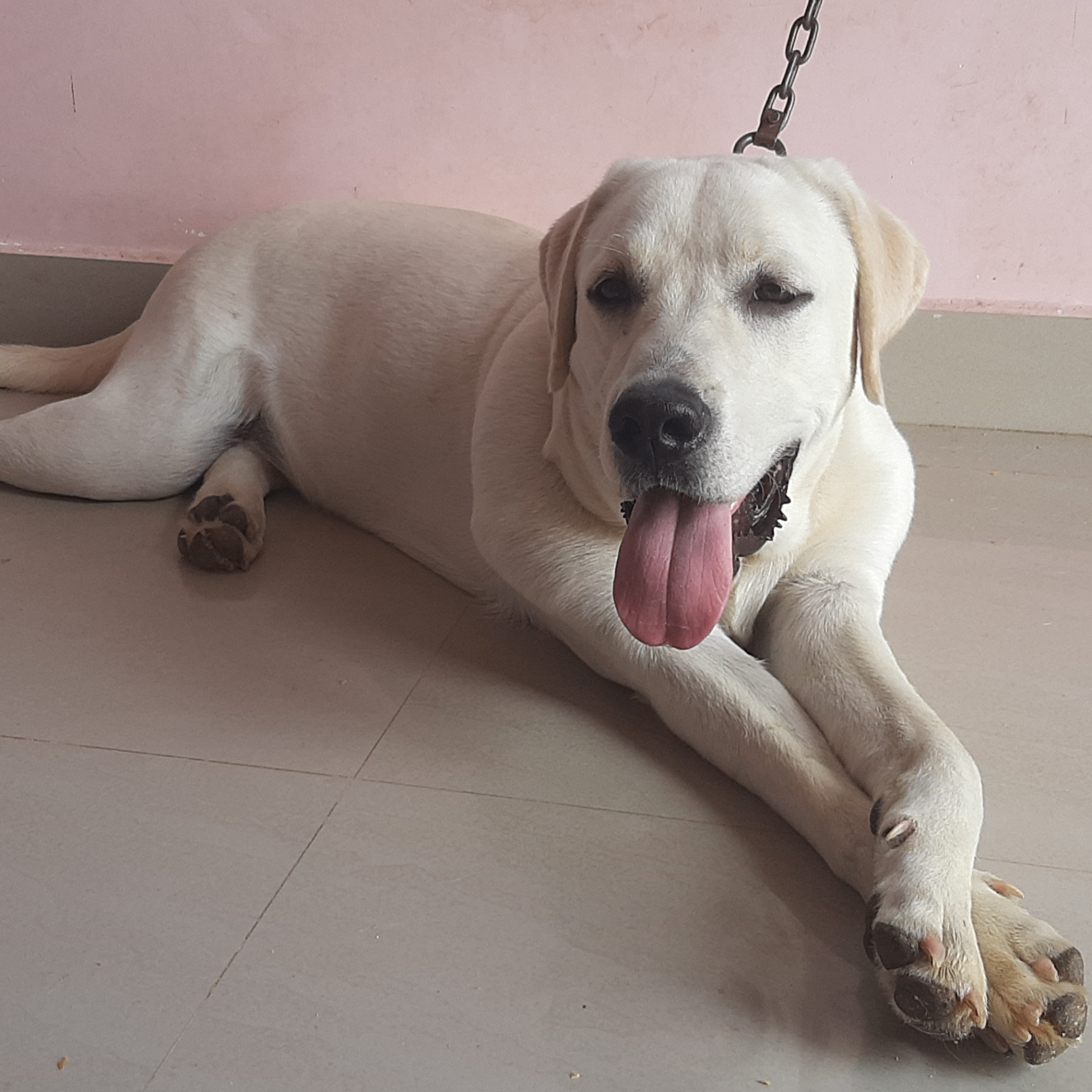 Manoj101 (manoj101.lens) Lens social identity (.lens handle) PFP