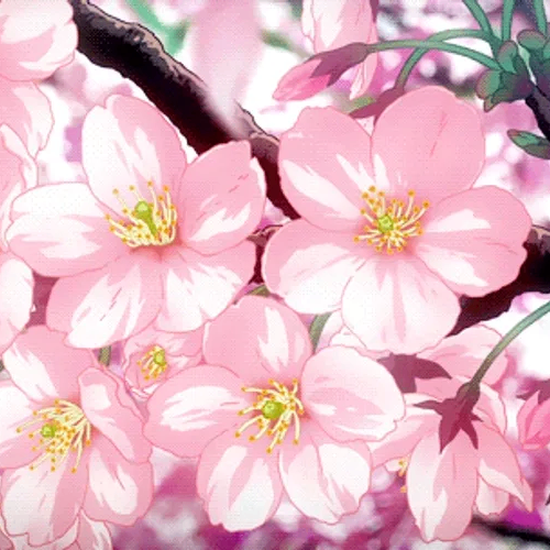 SHUVO671 (shuvo671.lens) Lens social identity (.lens handle) PFP