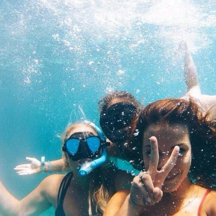 TechTrader (sunshinesmile.lens) Lens social identity (.lens handle) PFP