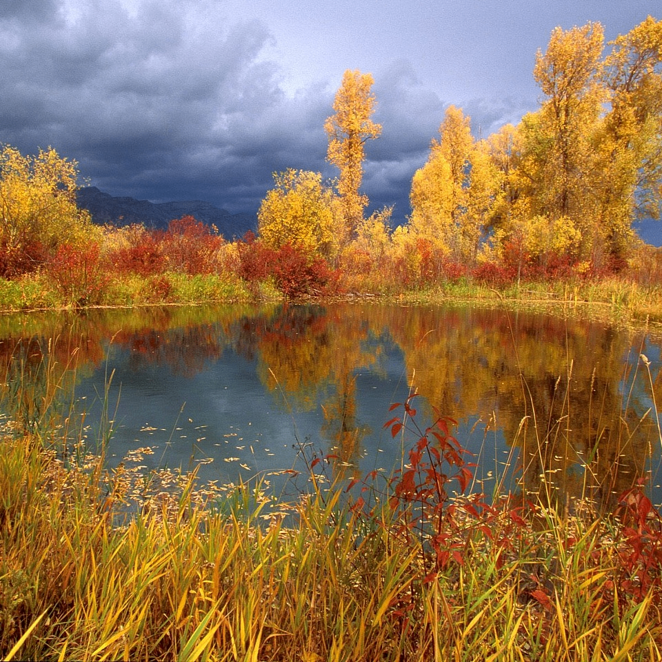 copyer (etyjdy.lens) Lens social identity (.lens handle) PFP