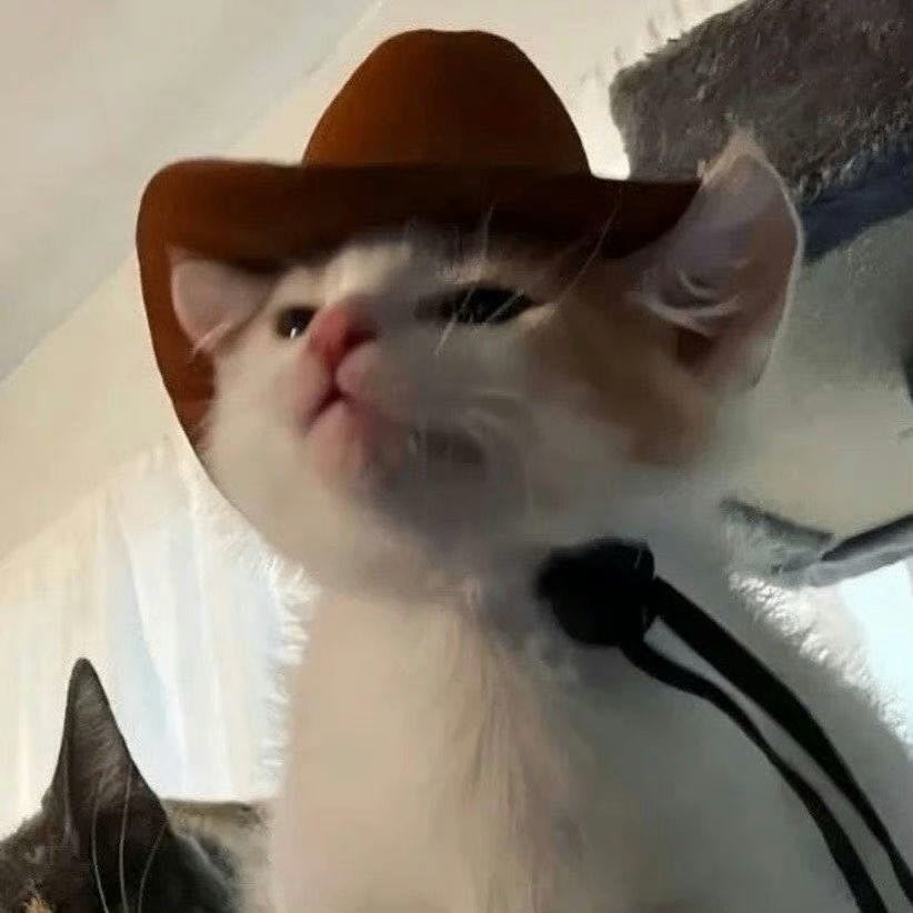 simple (sheidoumeiwoniu.lens) Lens social identity (.lens handle) PFP