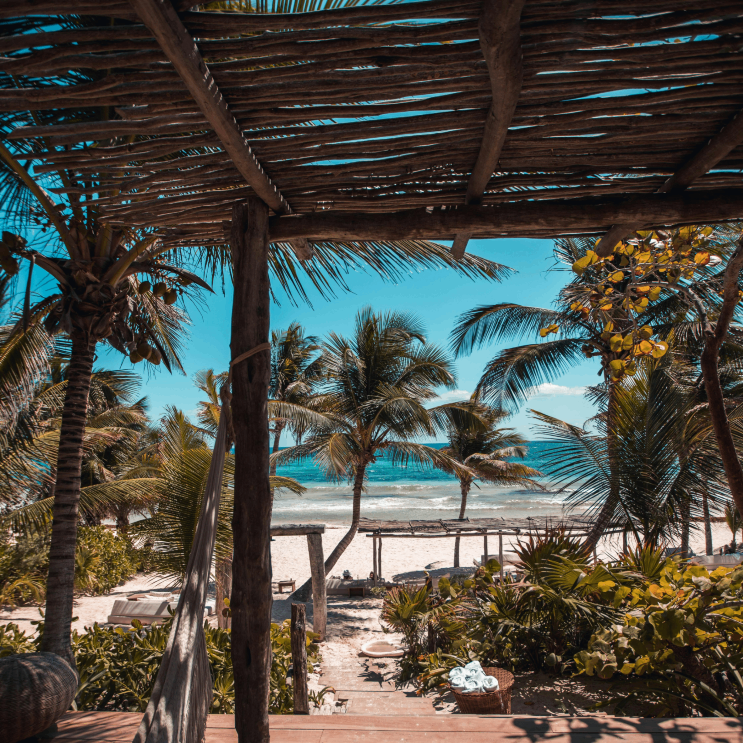 Eoant (eoant.lens) Lens social identity (.lens handle) PFP