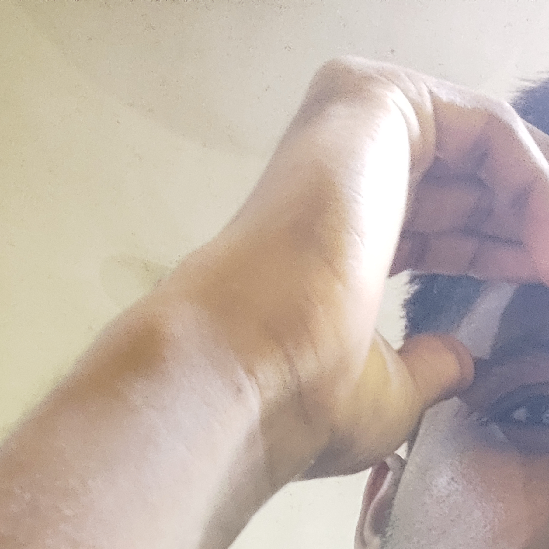 nayek (nayek.lens) Lens social identity (.lens handle) PFP