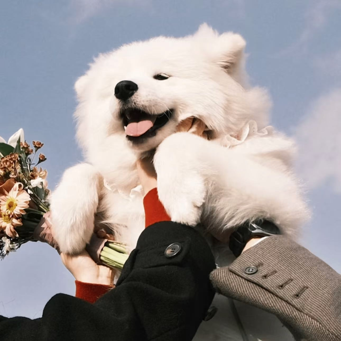 TxiUYpr (txiuypr.lens) Lens social identity (.lens handle) PFP