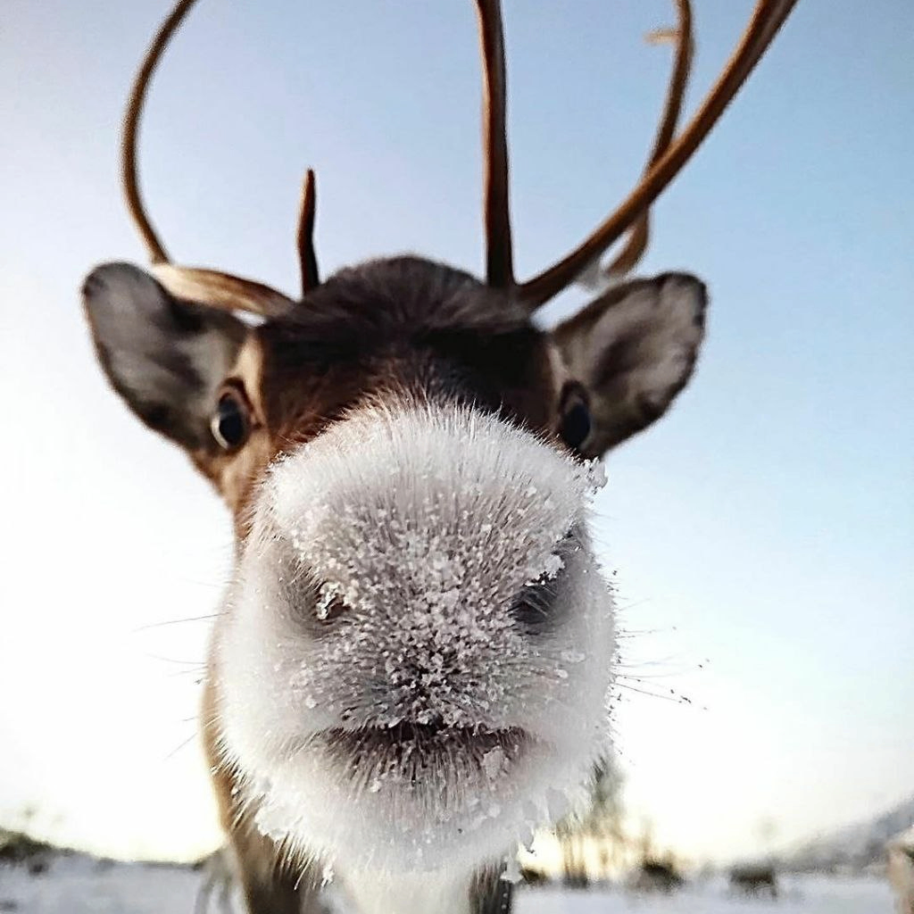 u7niversal (u7niversal.lens) Lens social identity (.lens handle) PFP