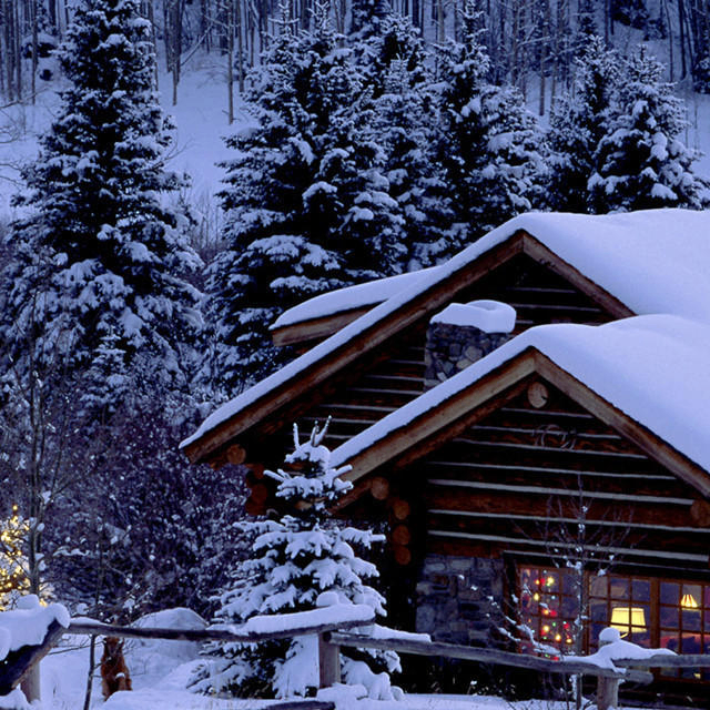 5 (zetox.lens) Lens social identity (.lens handle) PFP