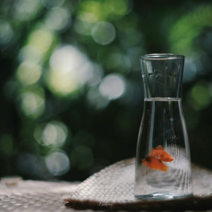 Ava Wilson (serendipiity.lens) Lens social identity (.lens handle) PFP