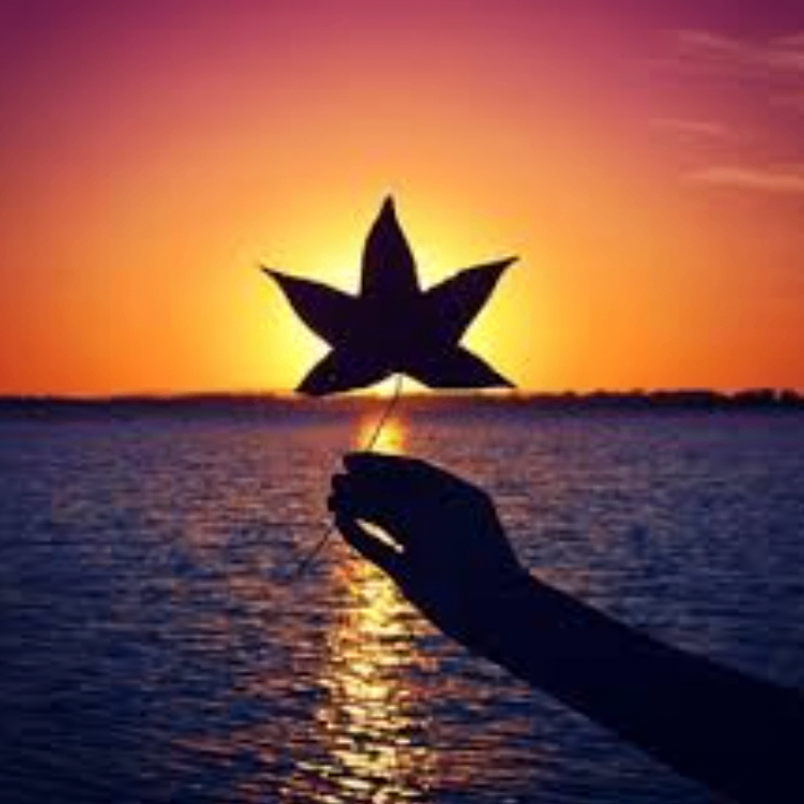 wqqwqd (hppppp.lens) Lens social identity (.lens handle) PFP