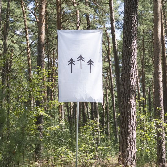 terra0 (terra0.lens) Lens social identity (.lens handle) PFP