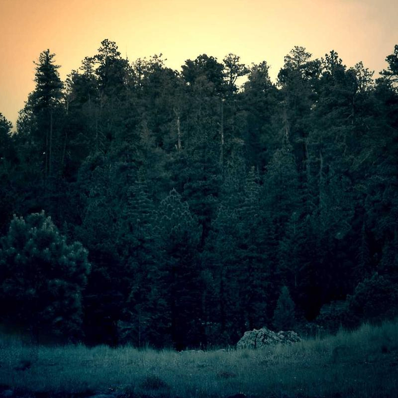 tasteTester (sschleig97152.lens) Lens social identity (.lens handle) PFP