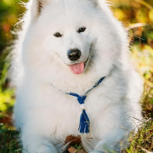 Maud Matthew (eeeeeu.lens) Lens social identity (.lens handle) PFP