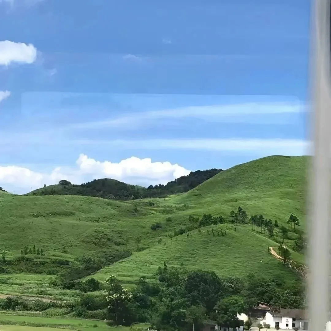 Аннa (joshuaa.lens) Lens social identity (.lens handle) PFP