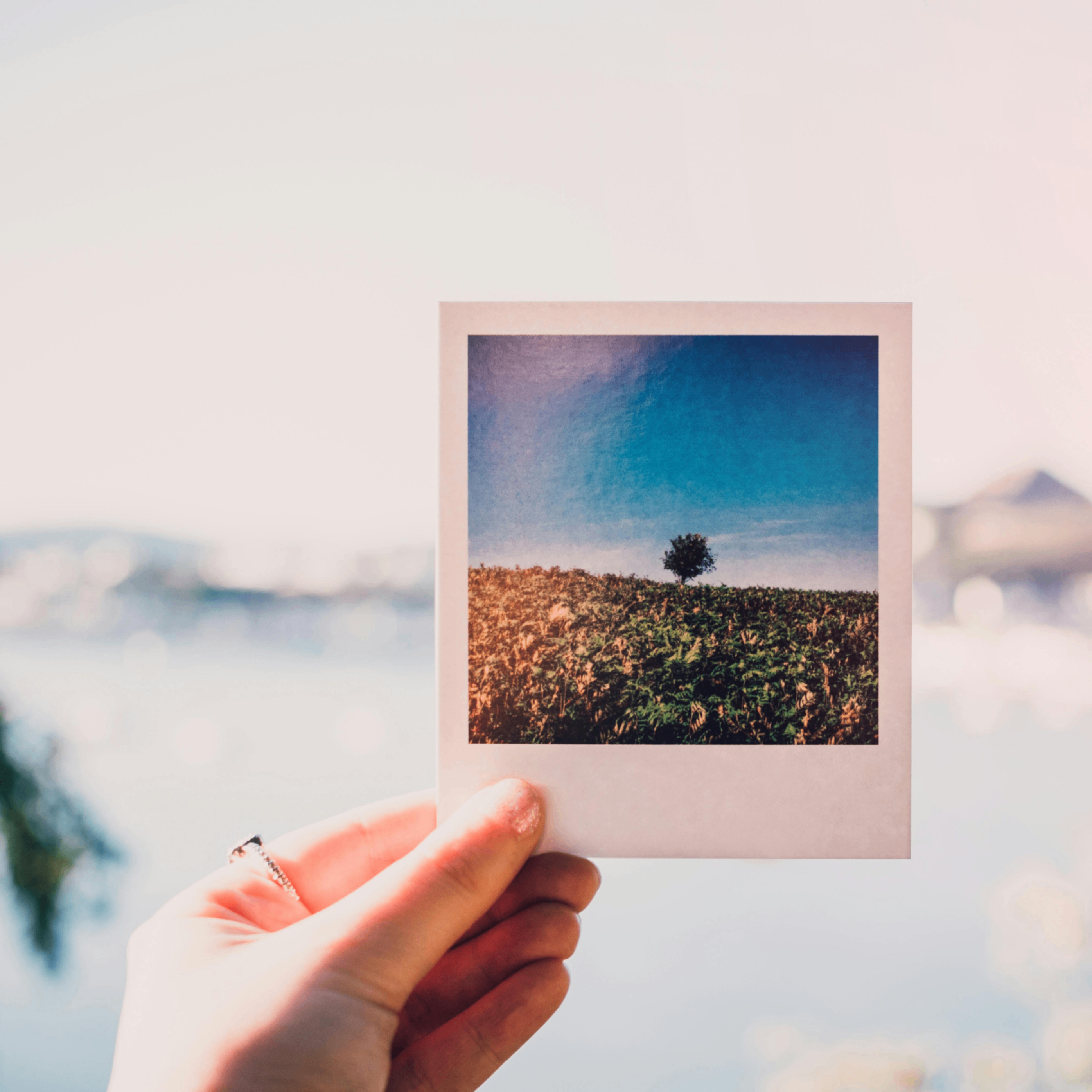 Manto (manto.lens) Lens social identity (.lens handle) PFP