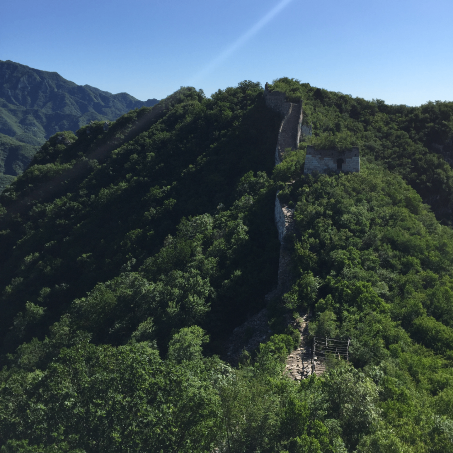 aaa (huoc87eje9doduduu.lens) Lens social identity (.lens handle) PFP