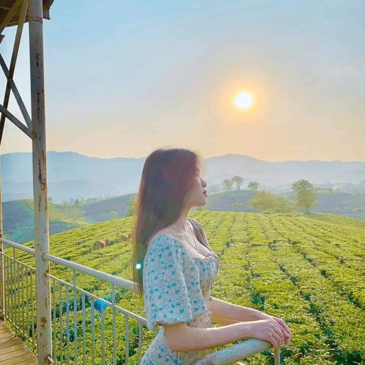 Jena Lina (hotcold.lens) Lens social identity (.lens handle) PFP