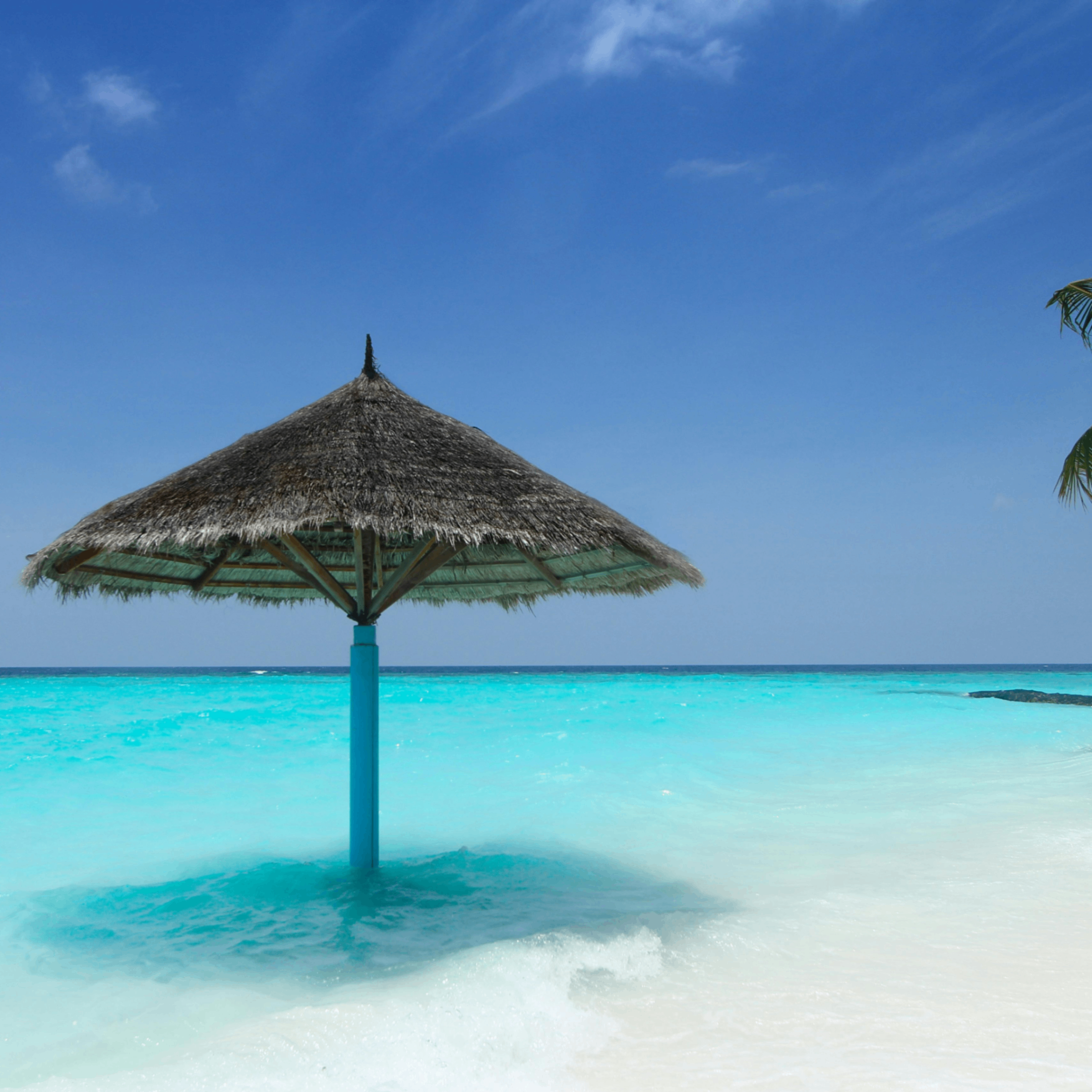 Raude (raude.lens) Lens social identity (.lens handle) PFP