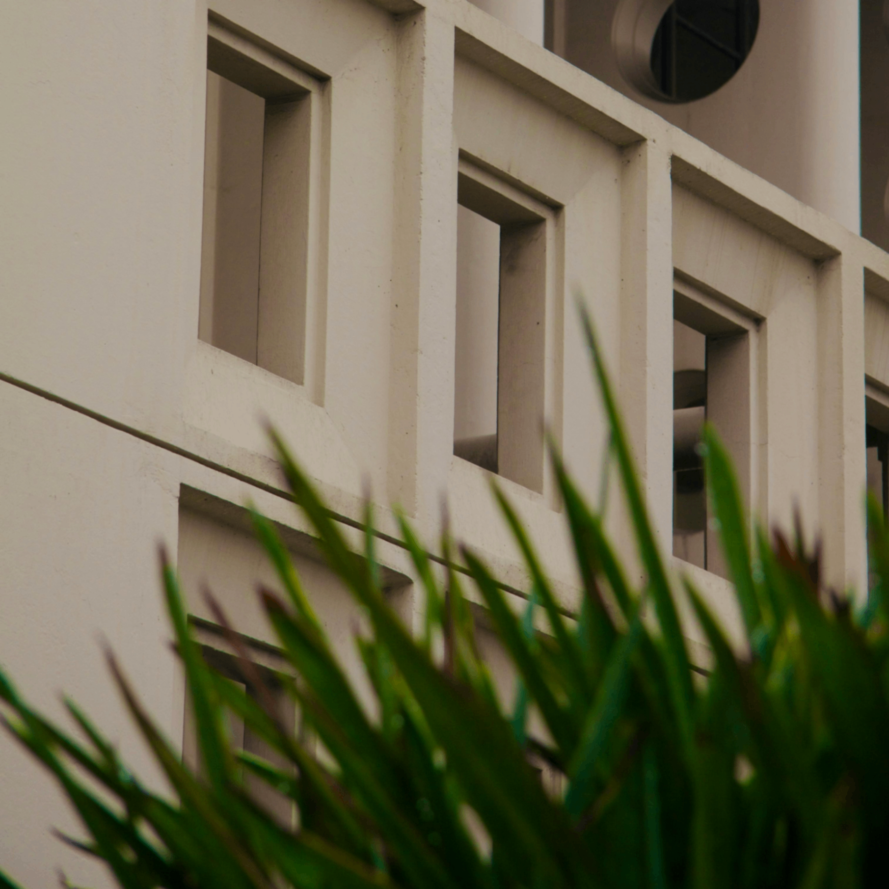 exton (exton.lens) Lens social identity (.lens handle) PFP