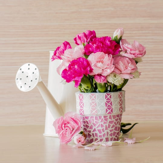 Babu (sambhu2141.lens) Lens social identity (.lens handle) PFP