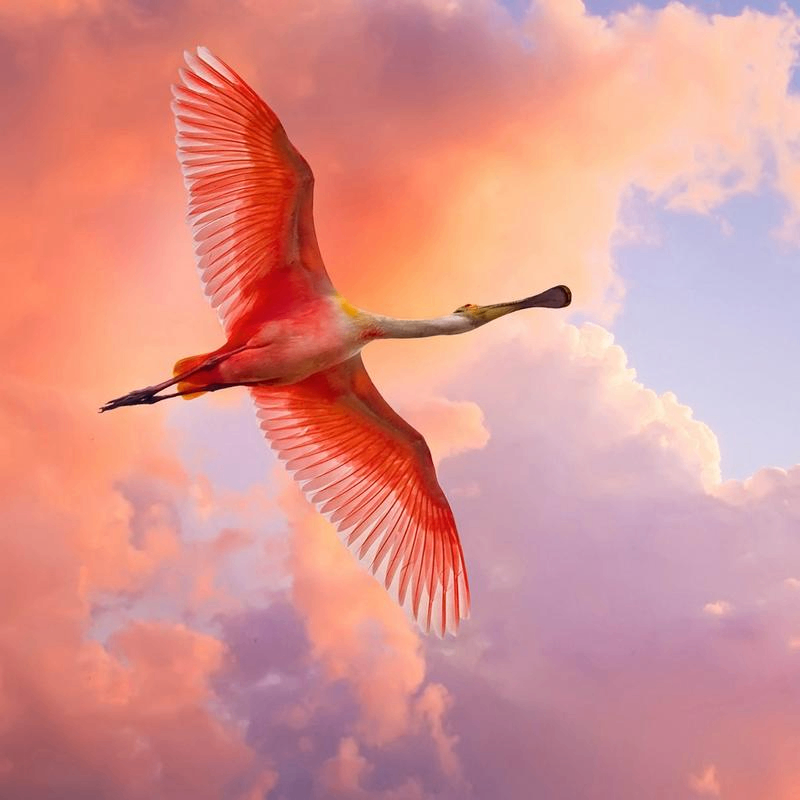 jbmvd34492436 (jbmvd34492436.lens) Lens social identity (.lens handle) PFP