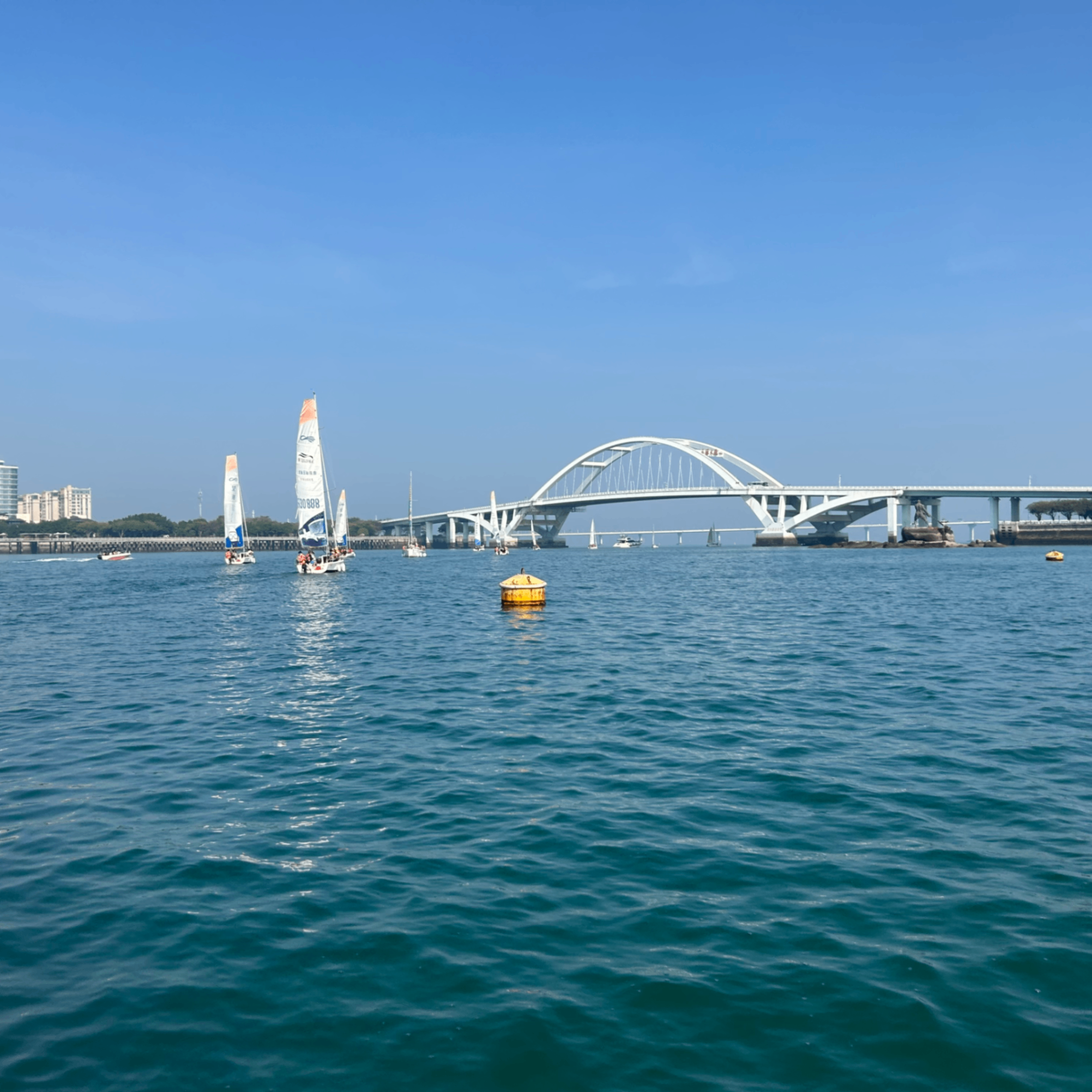 z16 (zksync16.lens) Lens social identity (.lens handle) PFP