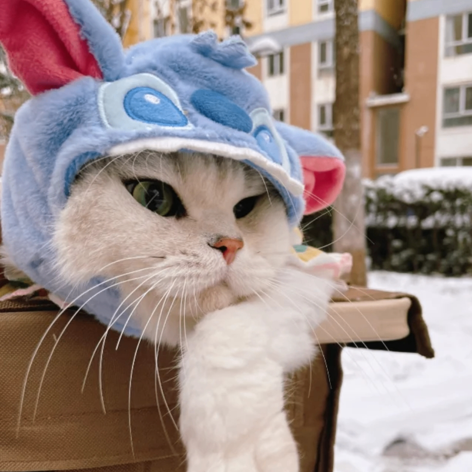 eddison (eddison.lens) Lens social identity (.lens handle) PFP