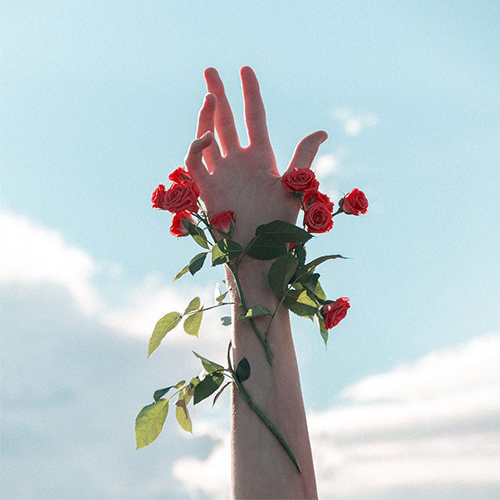 redington (mrredington.lens) Lens social identity (.lens handle) PFP