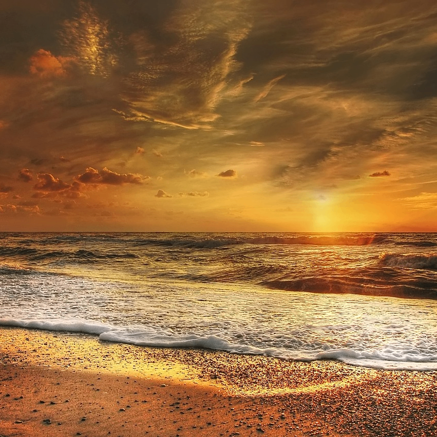 gene (gene893.lens) Lens social identity (.lens handle) PFP