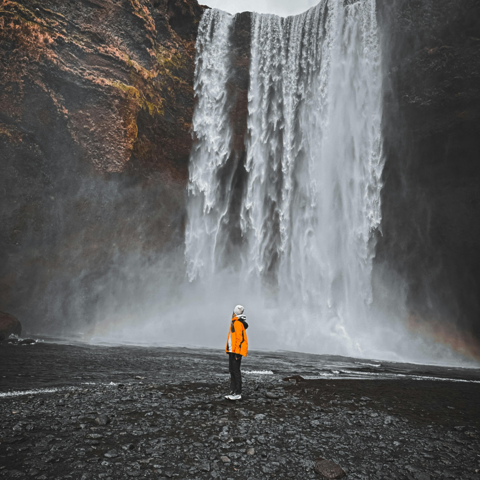 rifakhan (katrina777.lens) Lens social identity (.lens handle) PFP