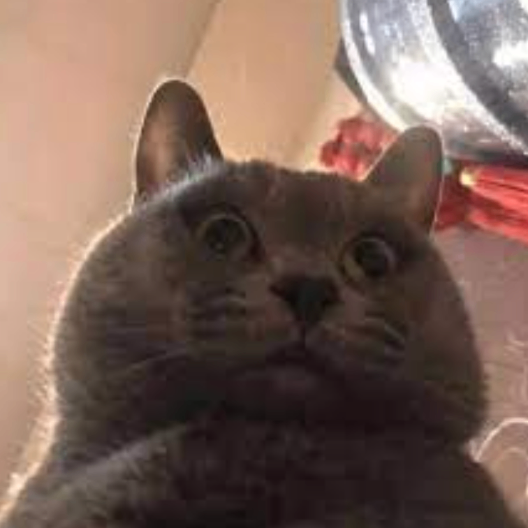 hfghgfj (frrrrrr.lens) Lens social identity (.lens handle) PFP